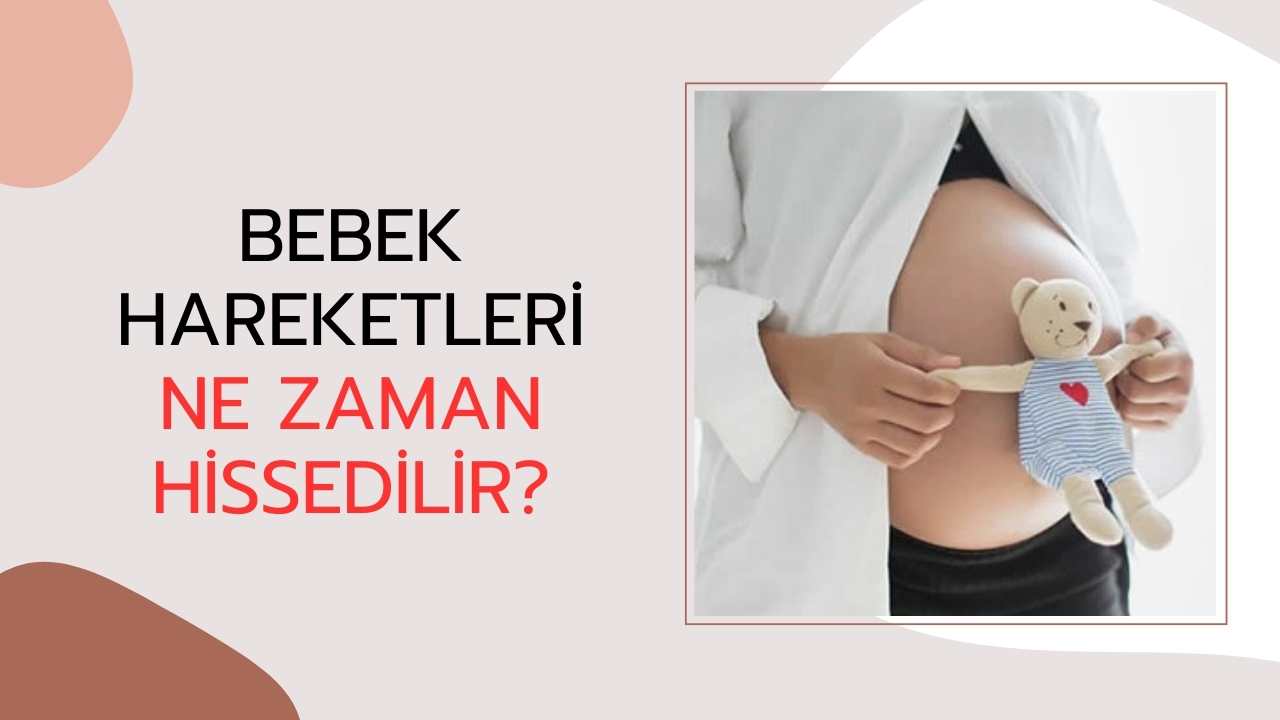 Bebek Hareketleri Ne Zaman Hissedilir?