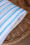 Wet Wipes and Diaper Bag - Baby Blue Striped