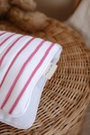 Wet Wipes and Diaper Bag - Red Striped
