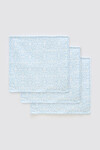 Mouth Cloth Set - 3 Piece / Ikat - Blue